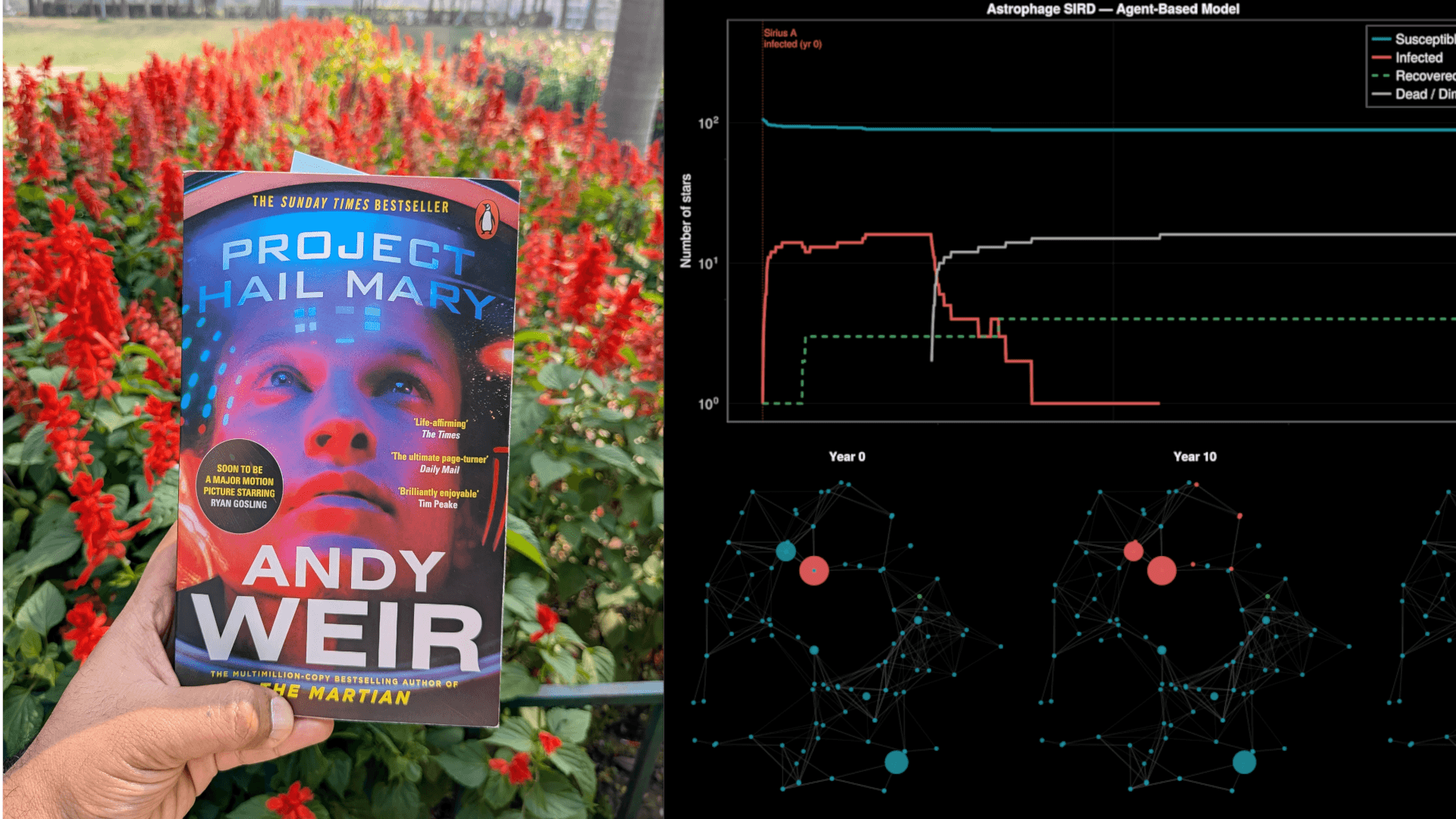 When stars get sick, astro-epidemiological model: Project Hail Mary a Sci-Fi book review